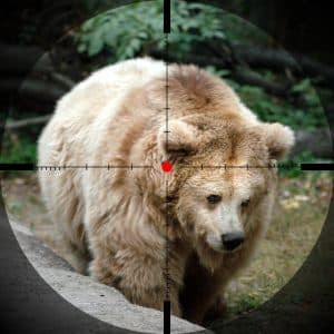 self talk, hunting a bear