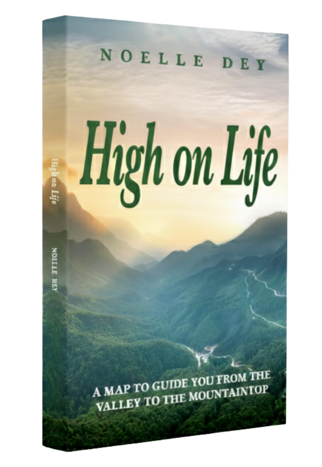 High on Life – 3D Cover